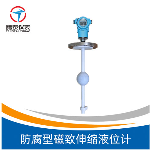 防腐型磁致伸縮液位計